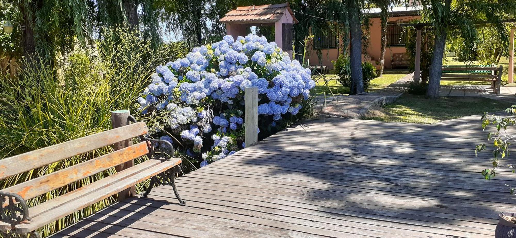 Guitarra Negra Villa Tigre Kültér fotó